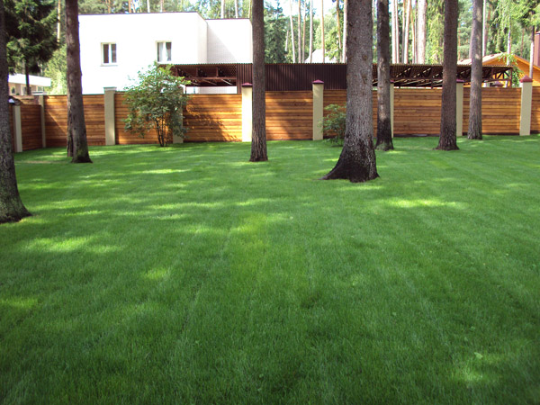 Комплексное обслуживание