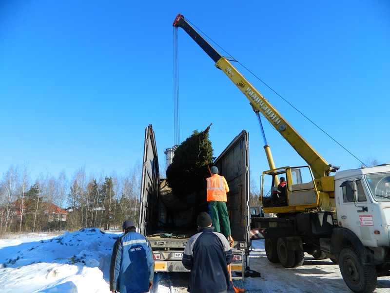 Никольская слобода - посадочные работы