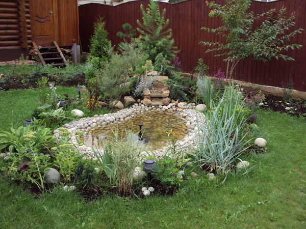 Водоемы, водные растения, пруды