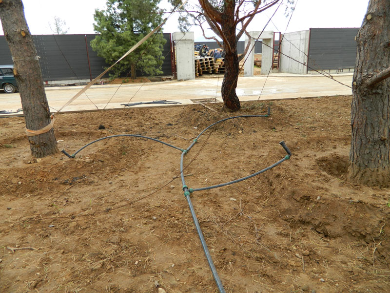 Полив участка