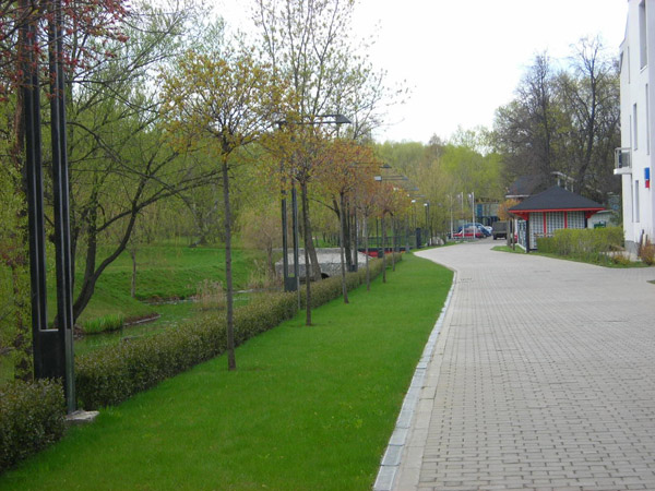 Мощение дорожек с подготовкой основания для авто