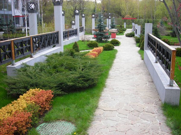 Улучшаем свой дачный участок